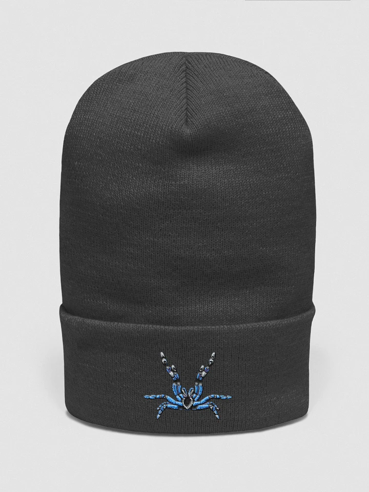Poecilotheria metallica Embroidered Beanie product image (1)