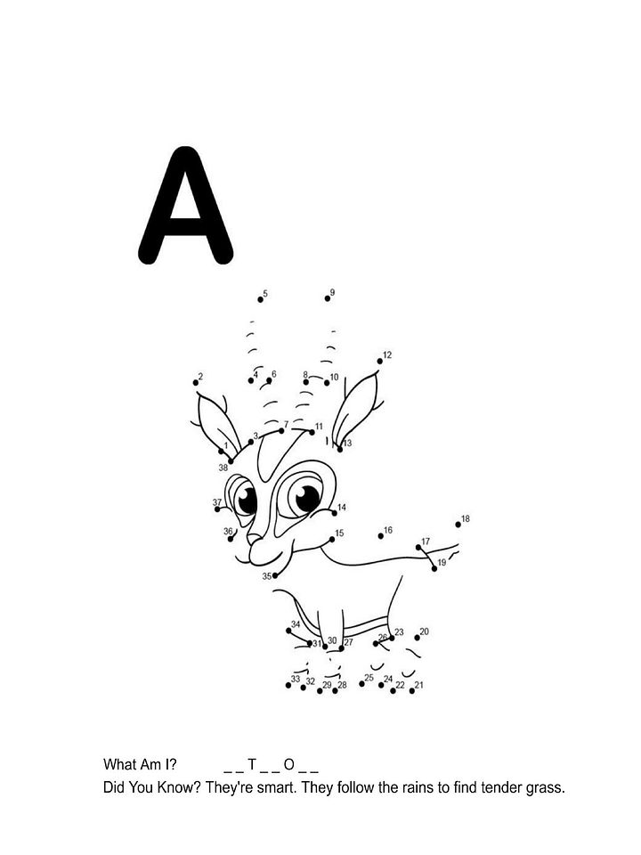Dot to Dot Jungle Animals Coloring Book product image (2)
