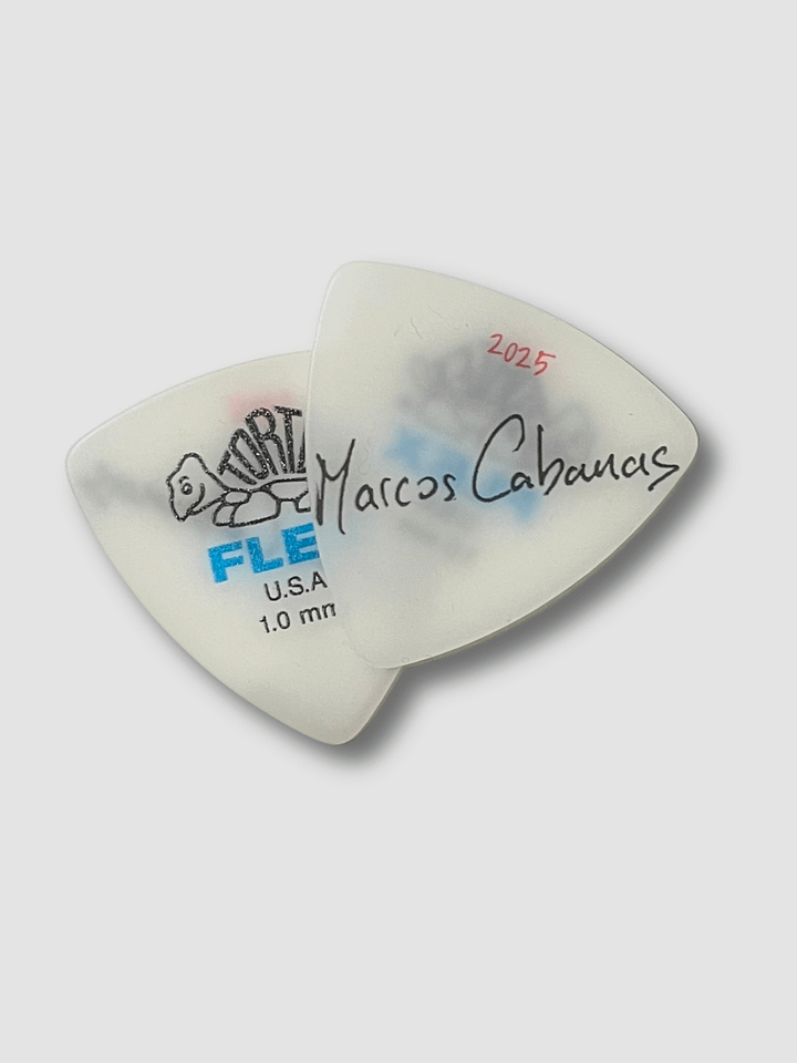 Stage-Used Guitar Pick product image (1)