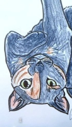 Commission a creature that feels alive 🤩

Pet portraits, fantasy beasts, or your own animal OC — I bring their soul to the ...