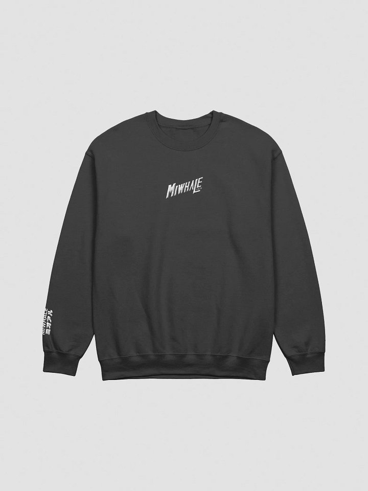Embroidered Sweatshirt product image (3)