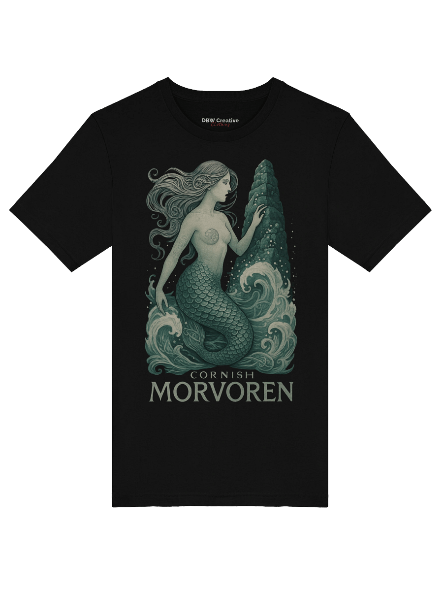 Cornish Morvoren Art Tee product image (5)