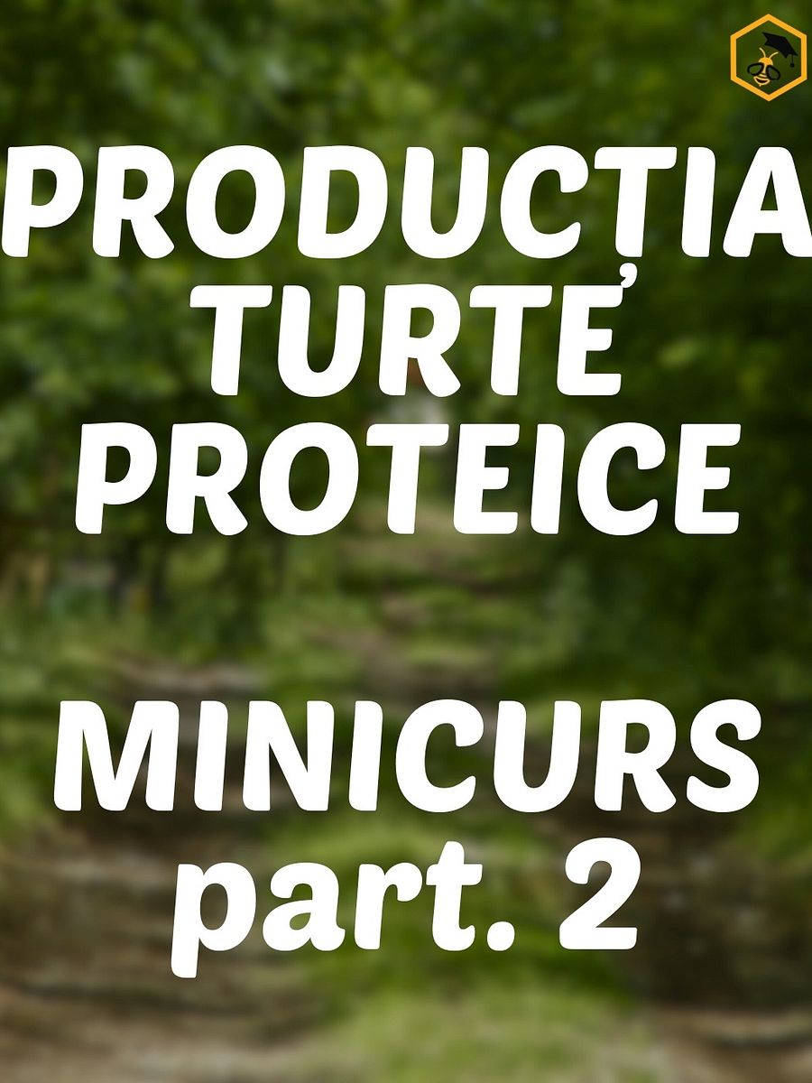 Part. 2 - Secretele Turtelor Proteice product image (1)
