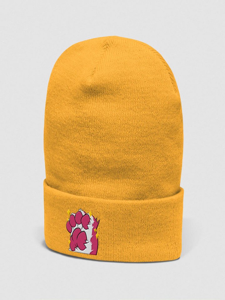Steenky Beans Beanie product image (1)