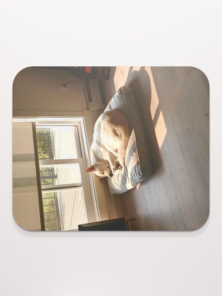 sunbeamn boy product image (1)