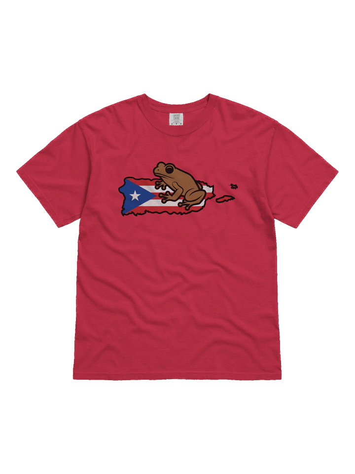 Puerto Rican Flag & Coqui T-Shirt product image (14)
