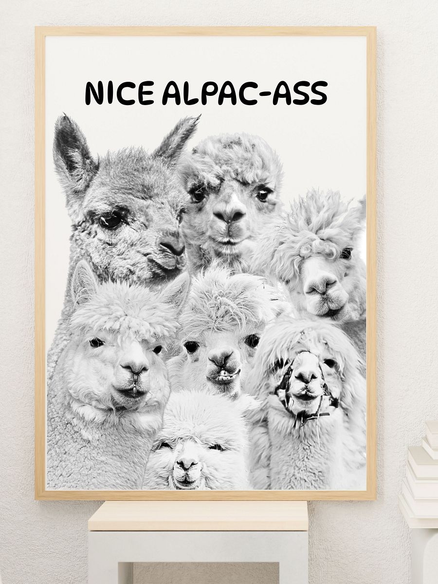 Black and White Alpacas Bathroom Downloadable Wall Art product image (1)