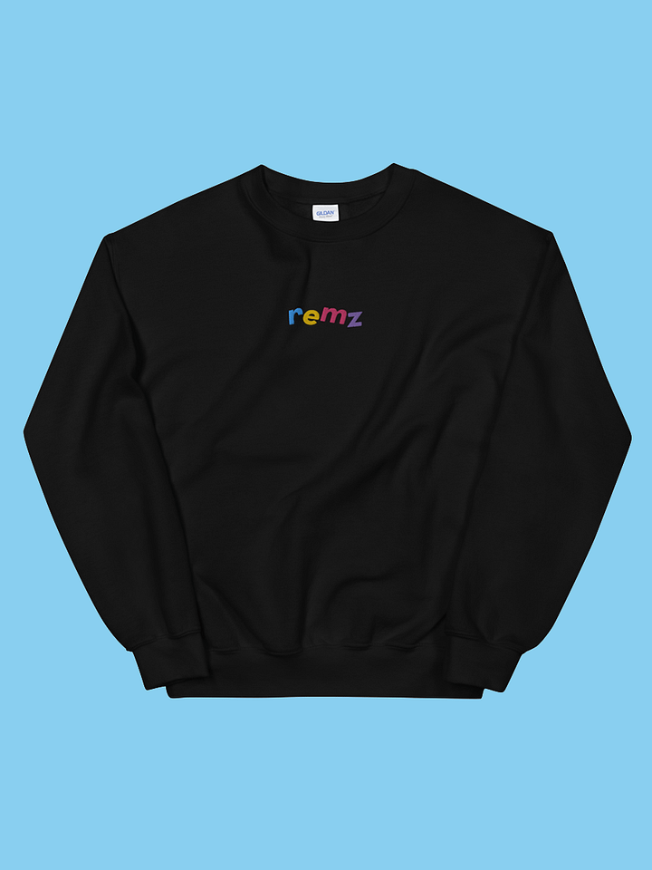 Embroidered Sweatshirt product image (1)