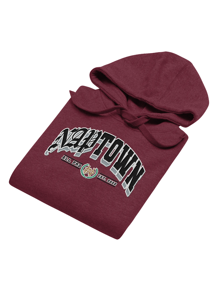Uni Hoodie - Crimson (Cignetti) product image (2)