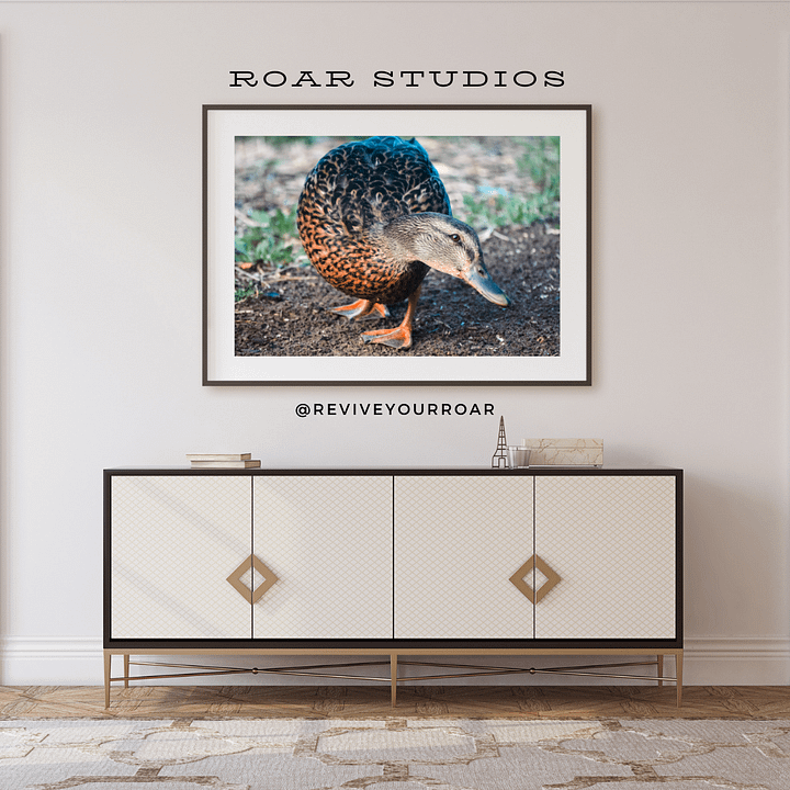 Darla the Duck product image (1)