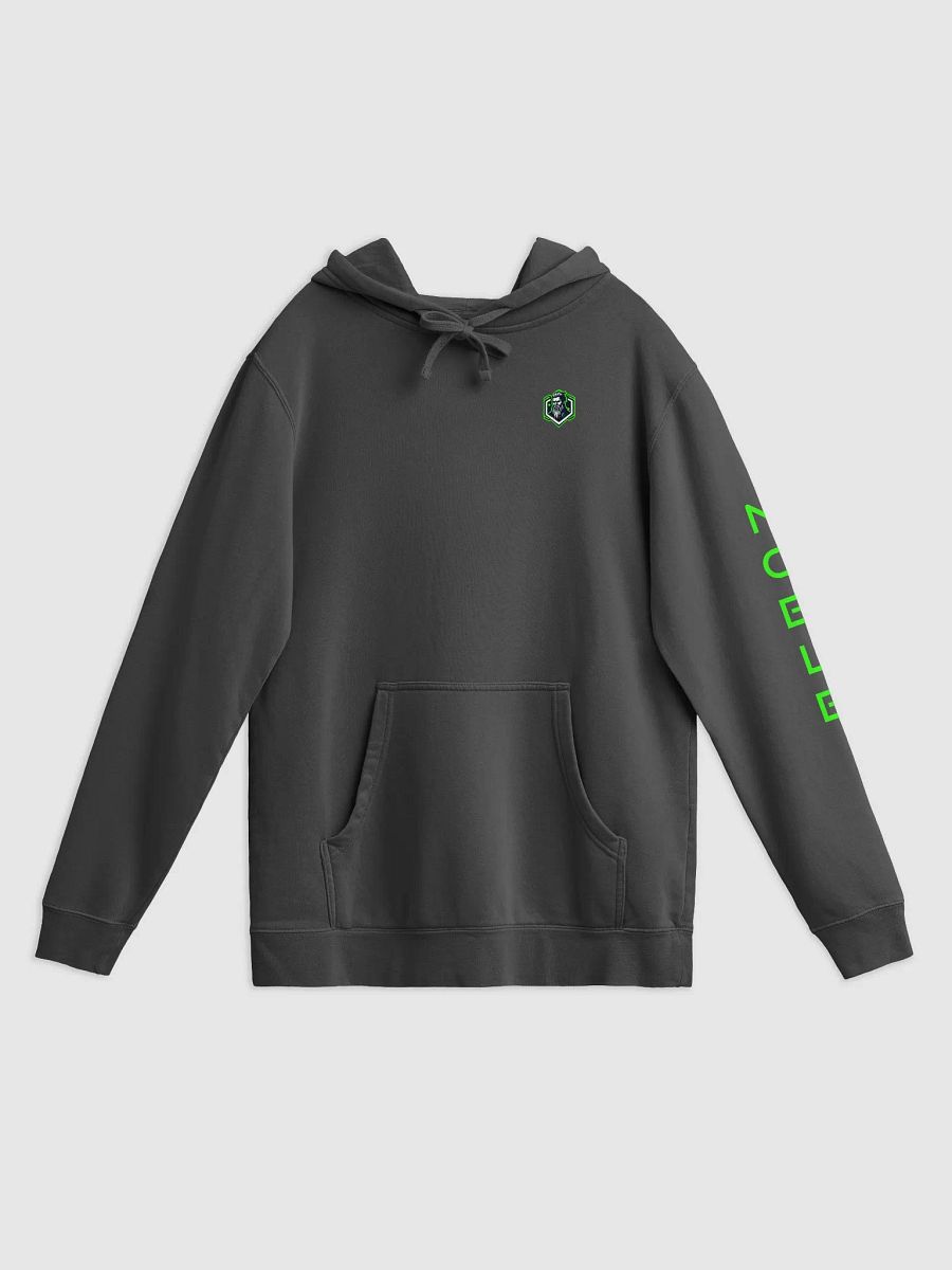 Branded Hoodie product image (2)