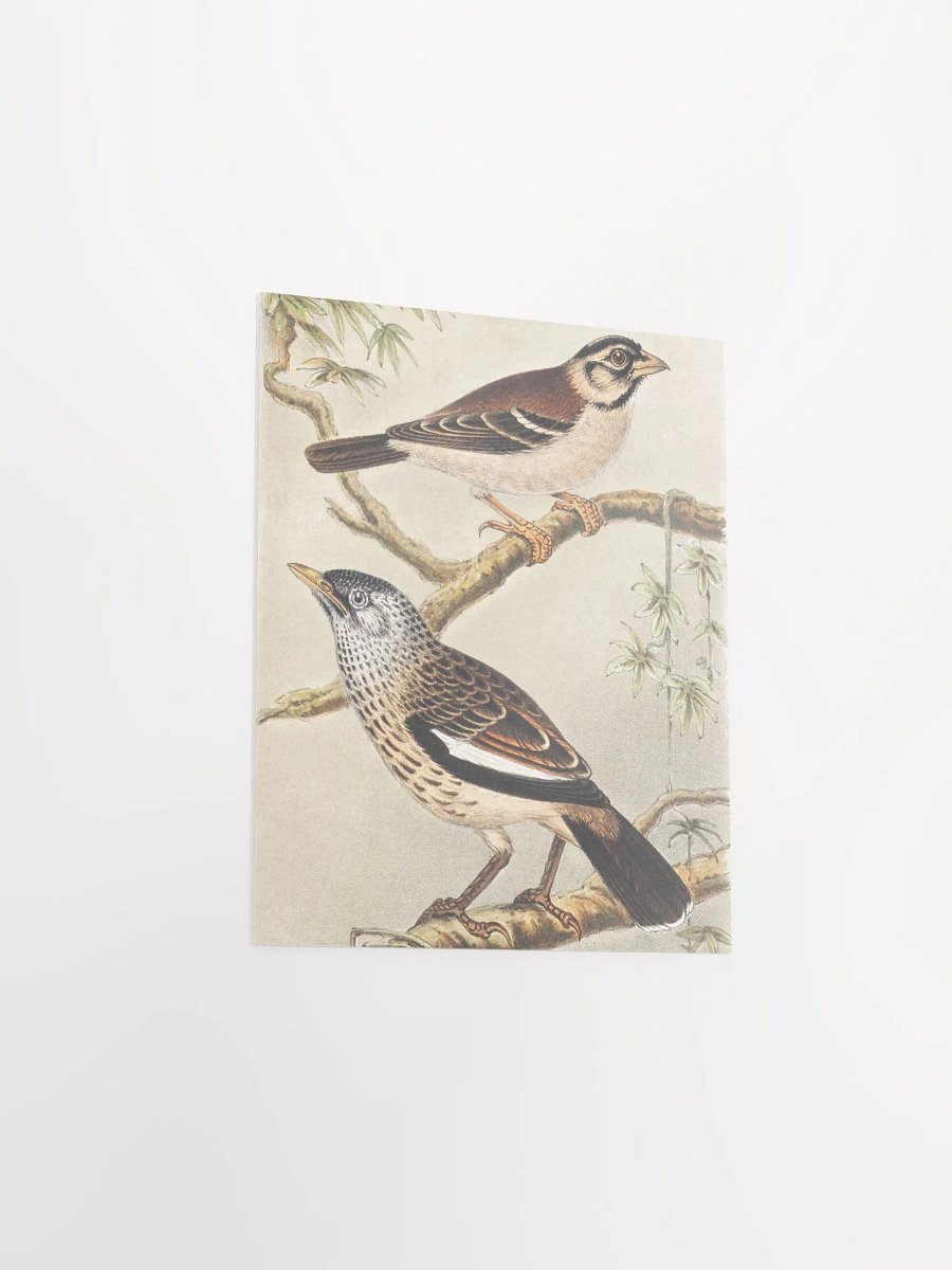Two Birds - Twee vogels op takken product image (17)