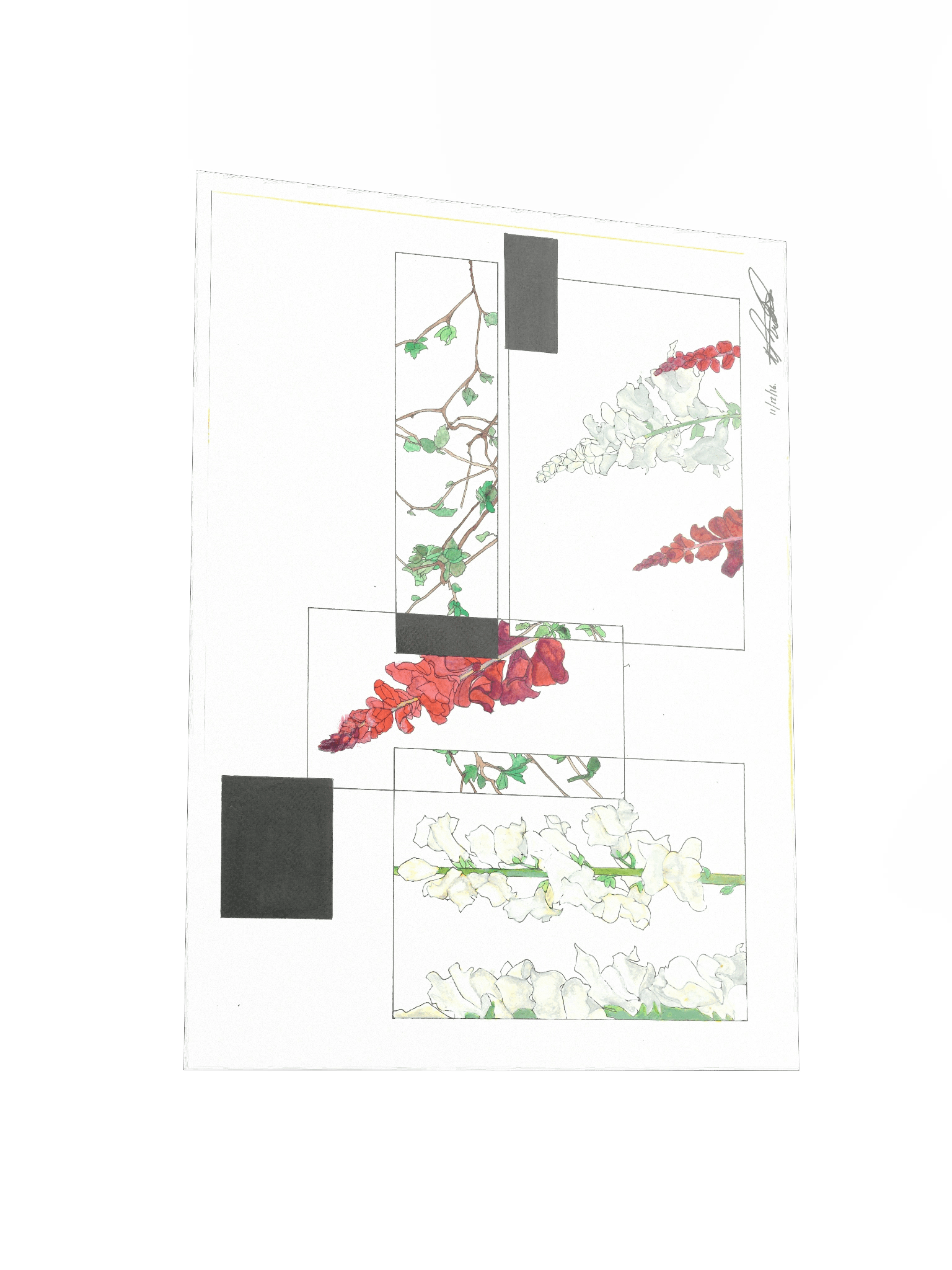 Floral Frames Poster Print (Landscape) product image (3)