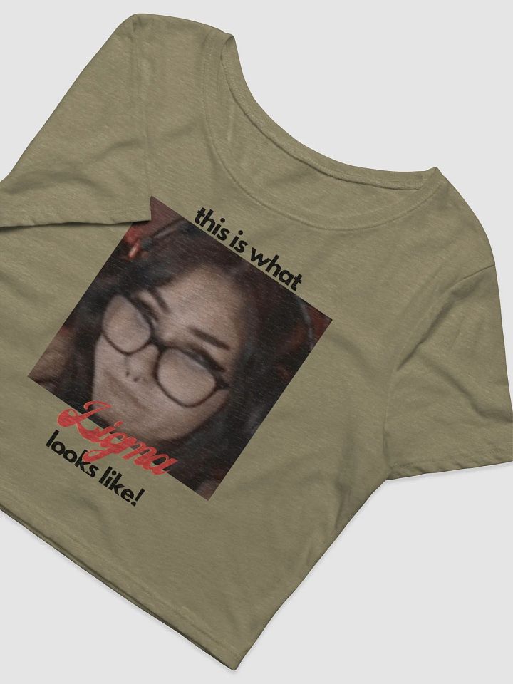 Snowmonk Ligma Cropped Tee product image (4)