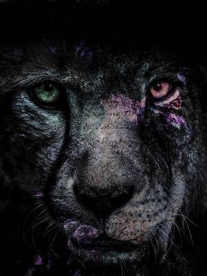 Zwei Seelen finden sich nicht durch Zufall. Sie erkennen sich… selbst im Dunkeln. Manchmal braucht Liebe keine Worte — nur ein Gefühl.  #seelenverwandt  #gefühle  #seelenweg  #fürimmer  #emotional  #liebefürimmer  #herzschlag  #fypdong  #fürdich#fyp