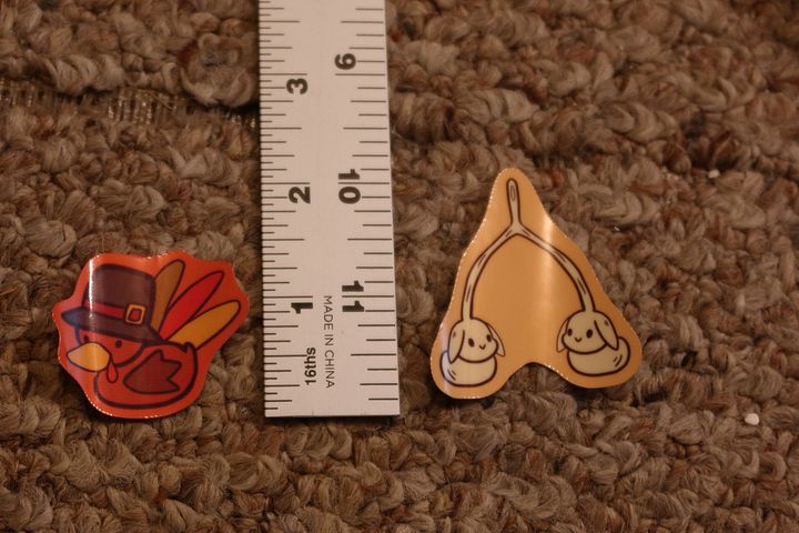 Thanksgiving Turkey and Wishbone product image (2)