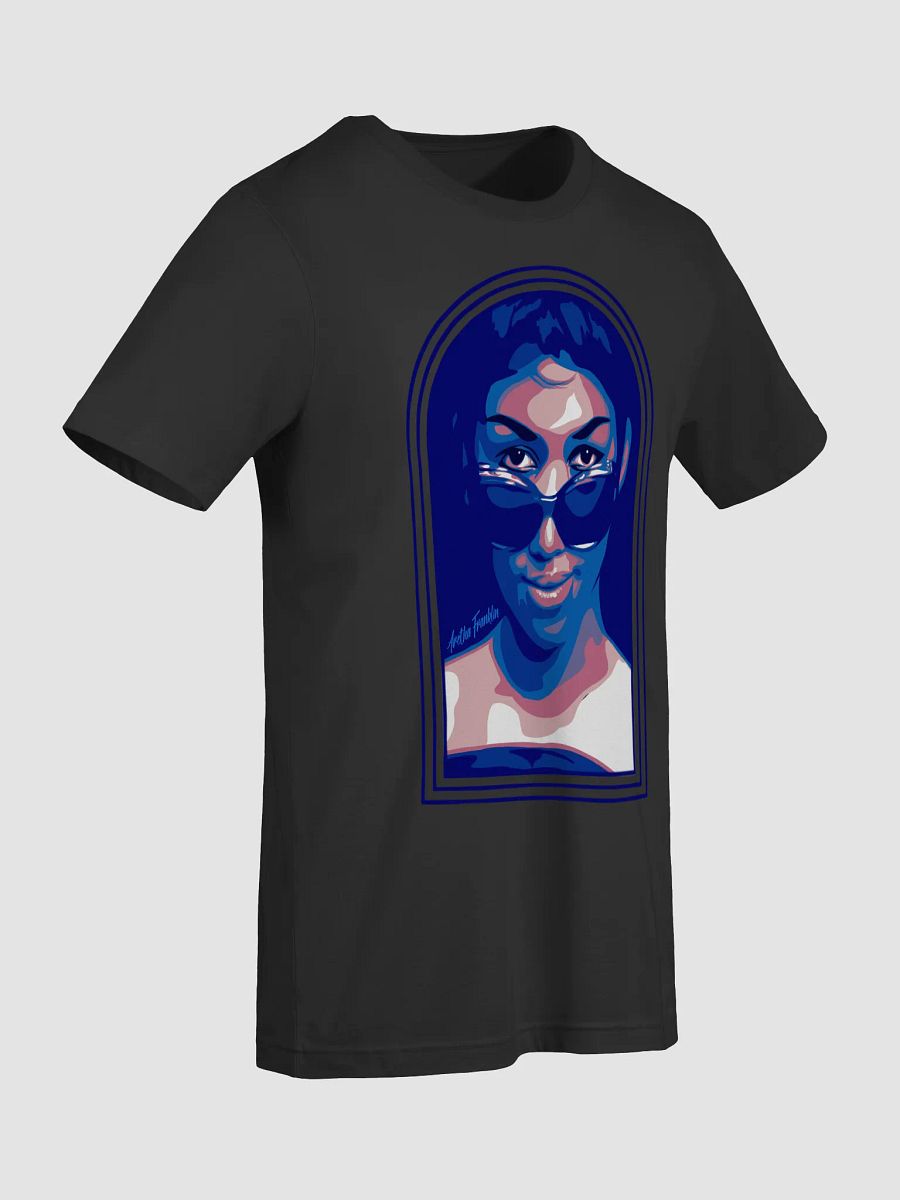 Queen of Soul Pop Art product image (56)