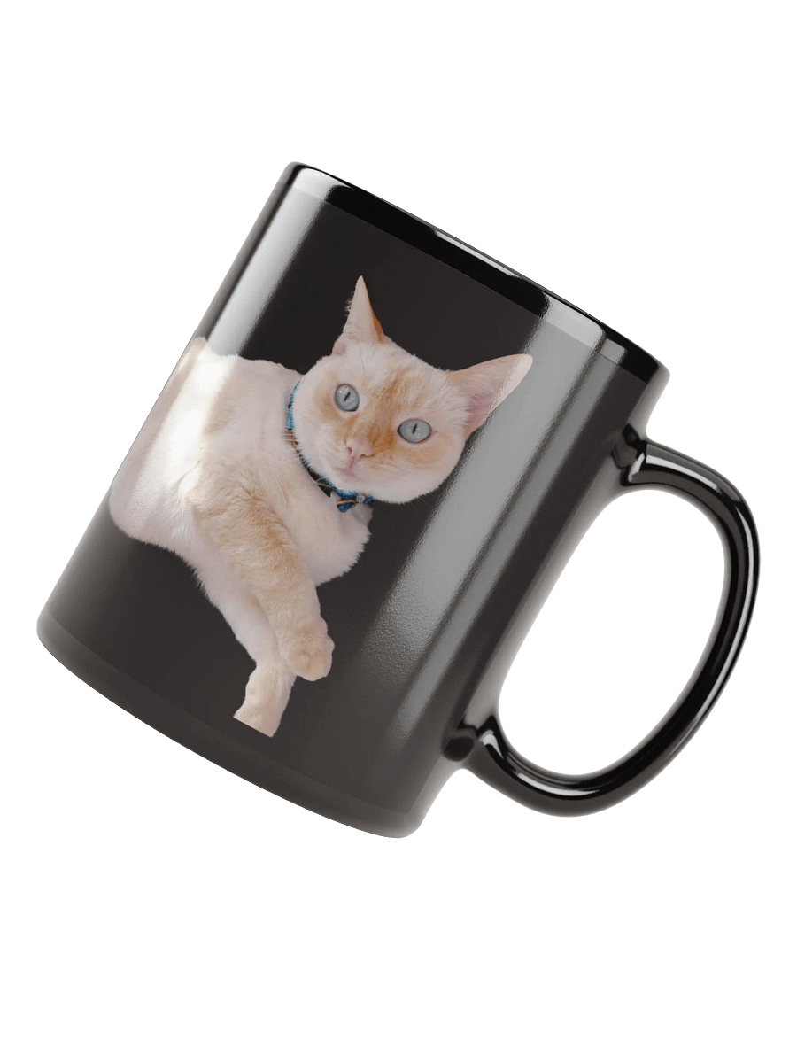 Long cat Ivry in Black product image (7)