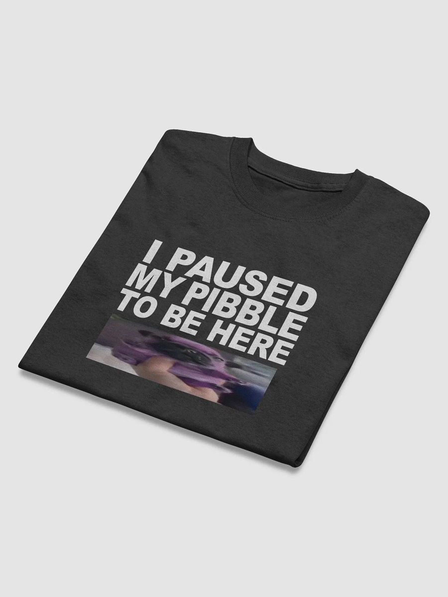 I PAUSED MY PIBBLE TO BE HERE product image (4)