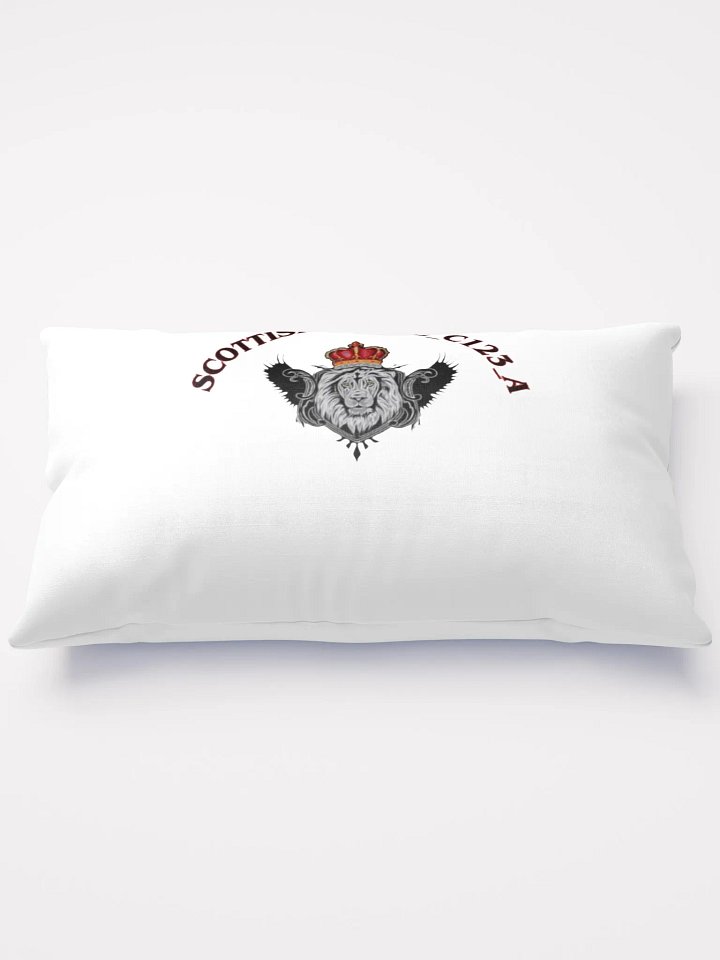 throw pillow product image (3)