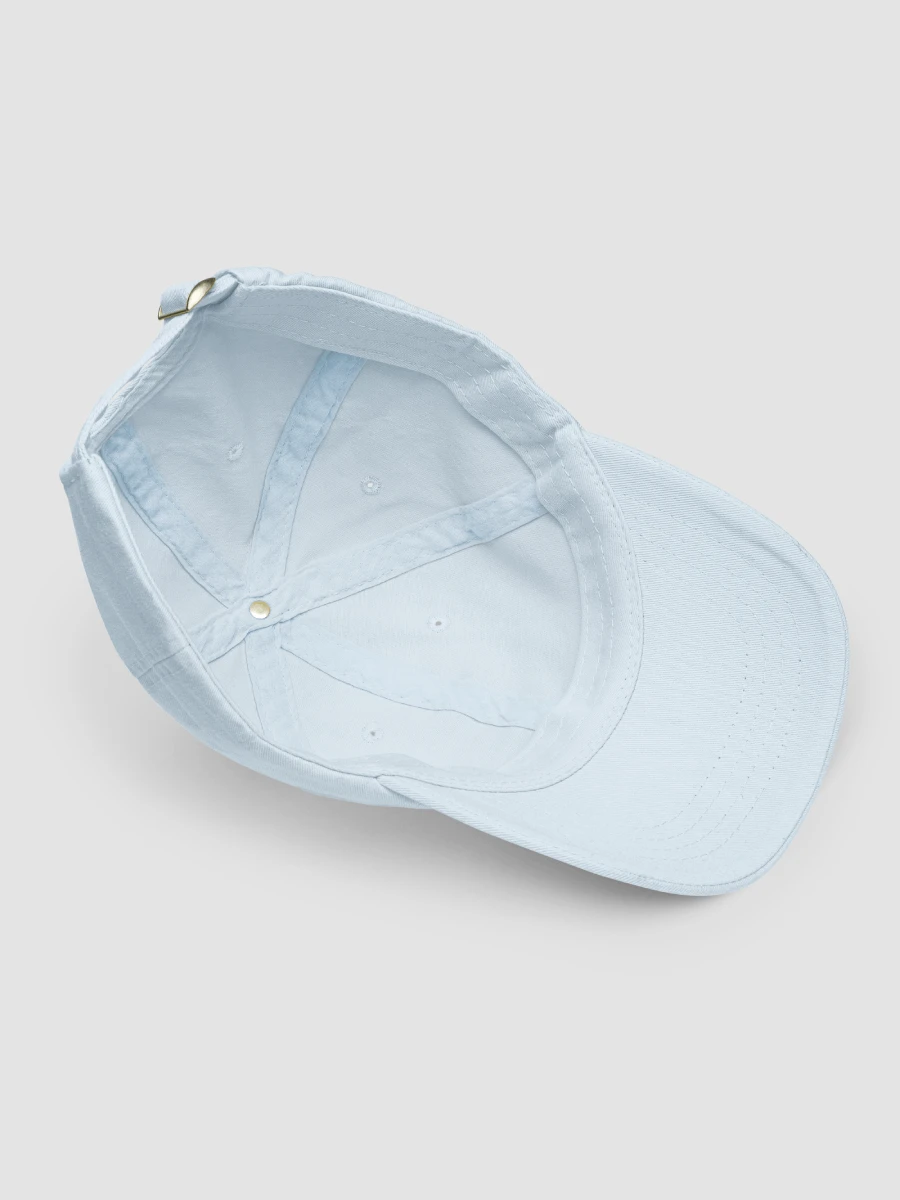Typical Gemini White on Baby Blue Hat product image (3)