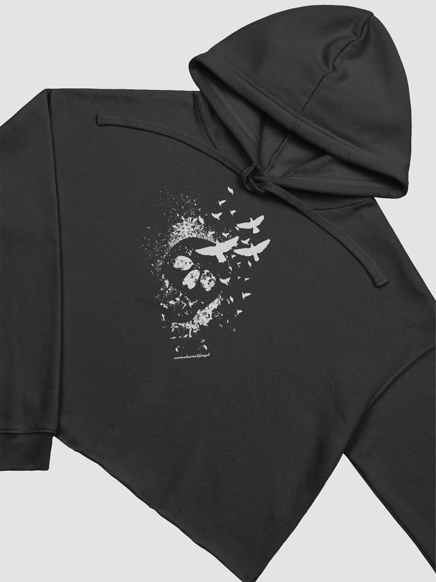comeherefloyd Music Life / Skull and Flight product image (10)