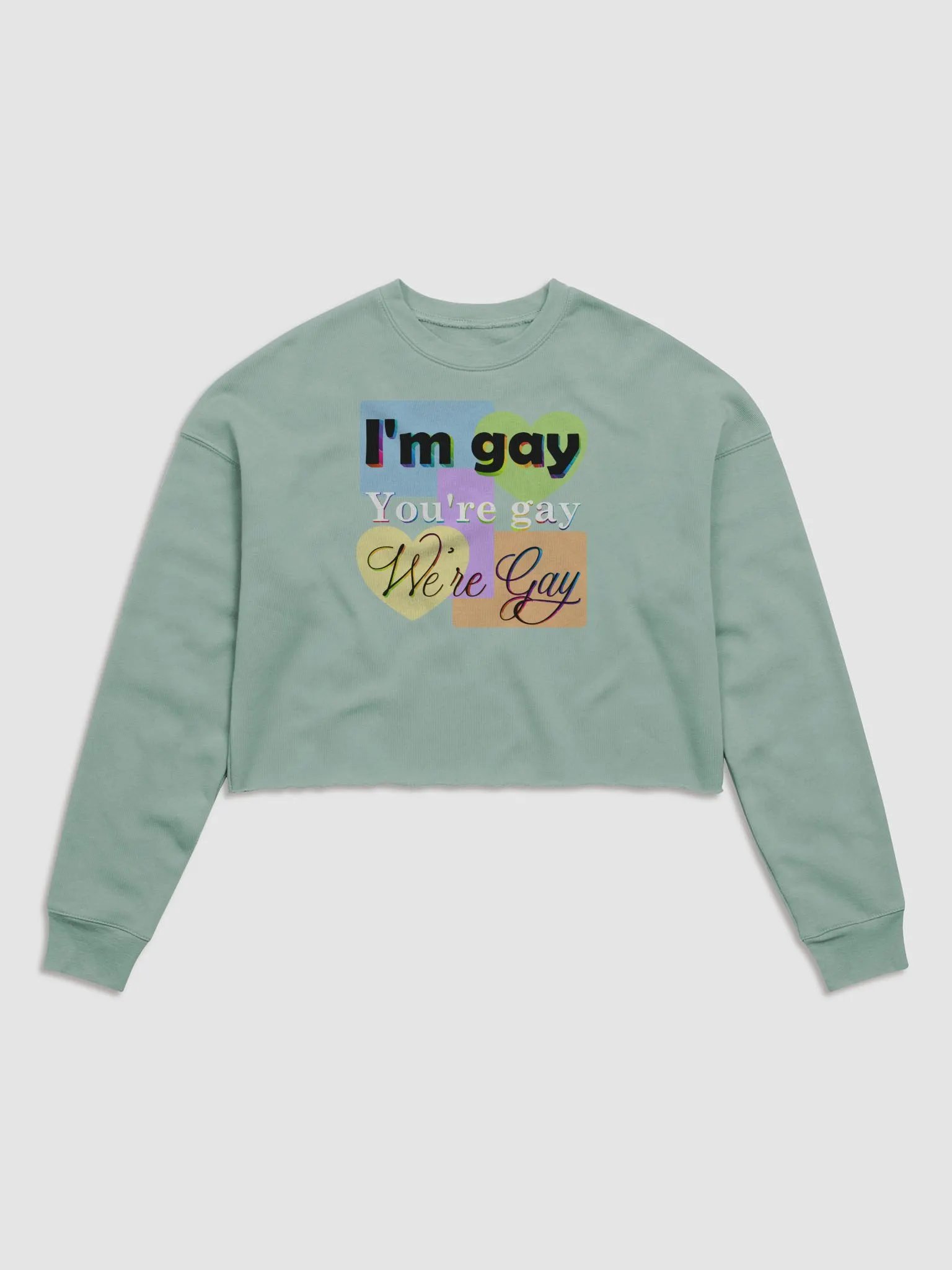 We're Gay Cropped Fleece Sweatshirt product image (2)