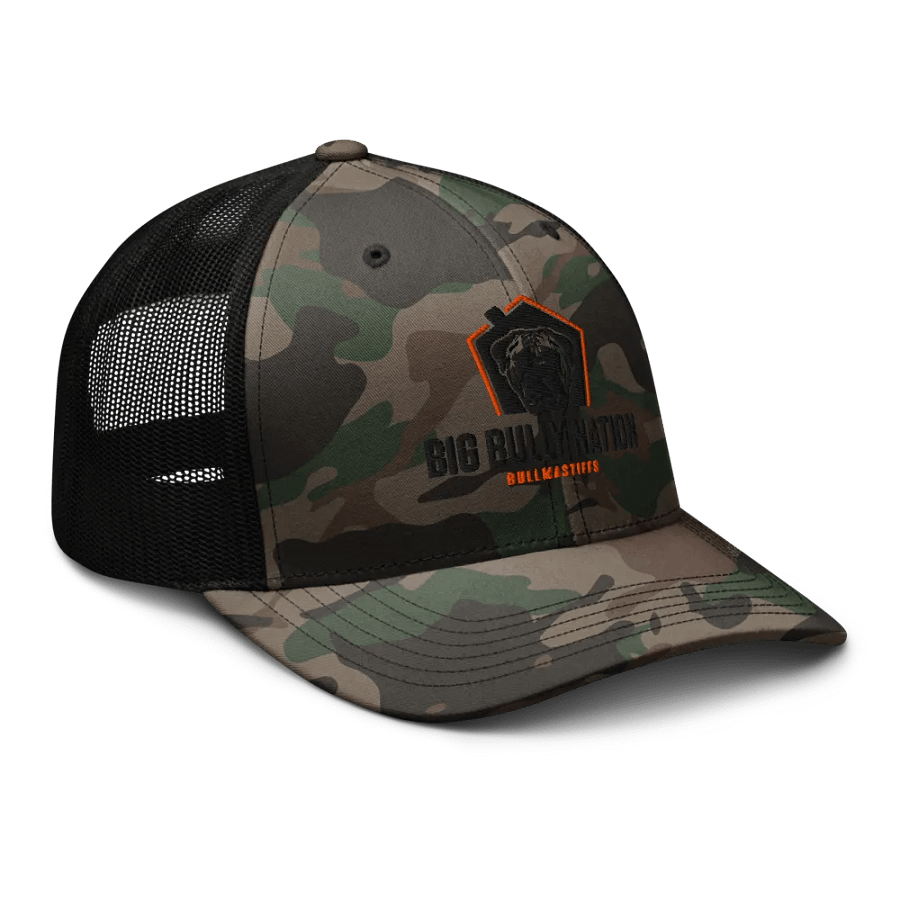 BBN Logo 1 Camo Truckers Hat product image (8)