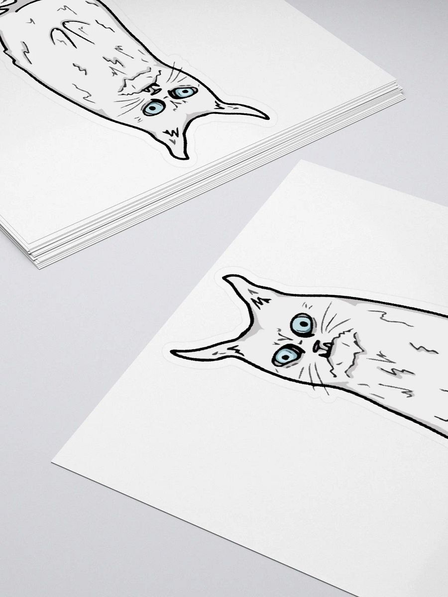 WEIRD FUCKIN CAT STICKER product image (4)