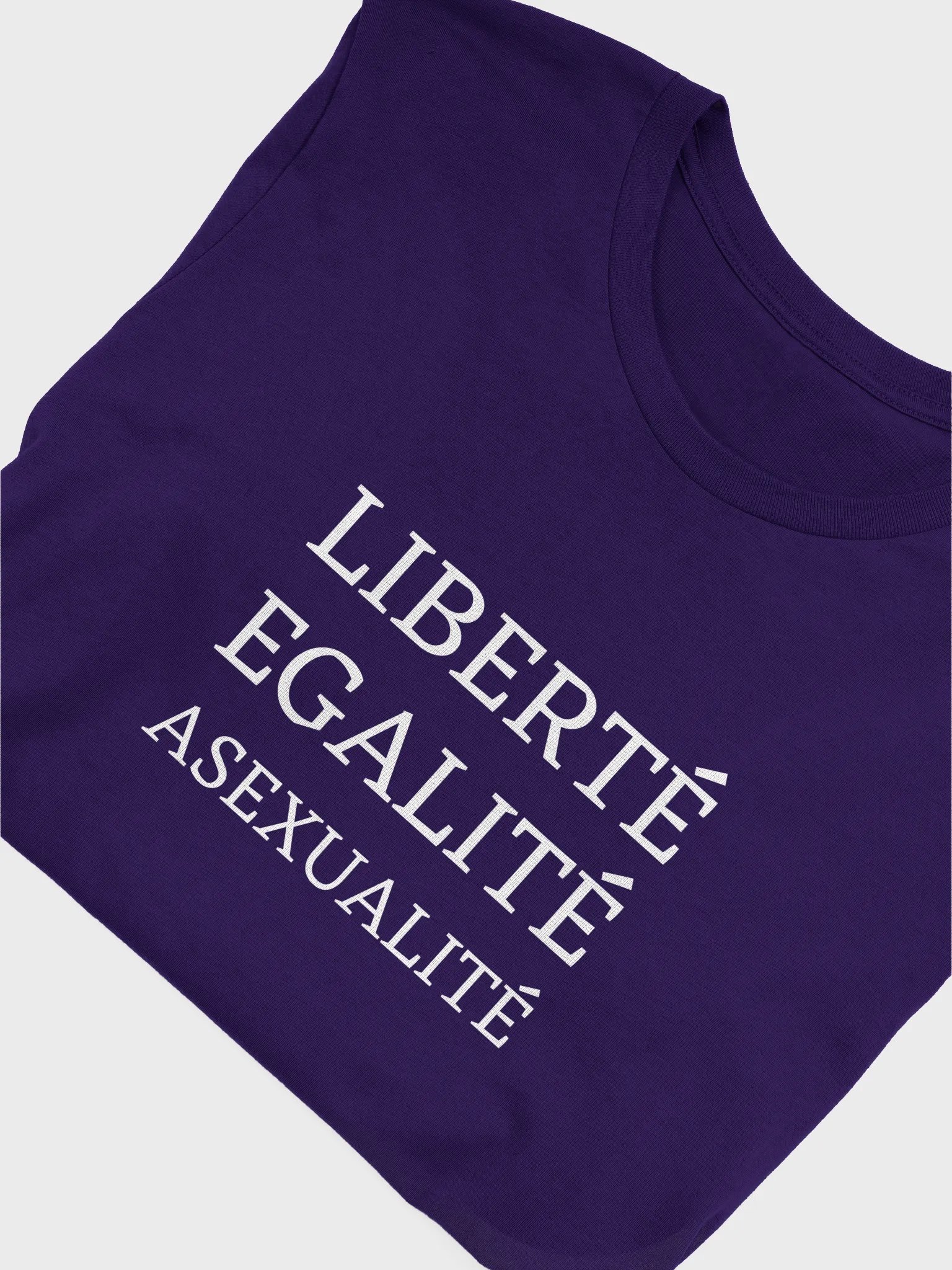 Liberte Egalite Asexualite T-Shirt product image (5)