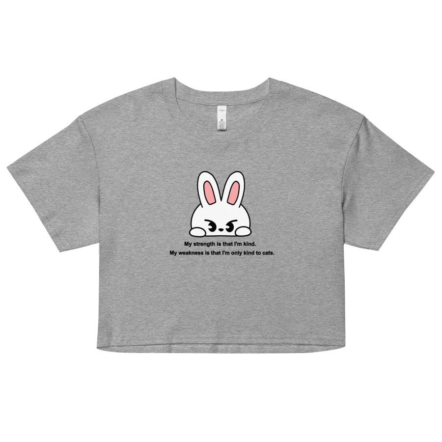 Lee Know Funny Quote Crop Top product image (7)