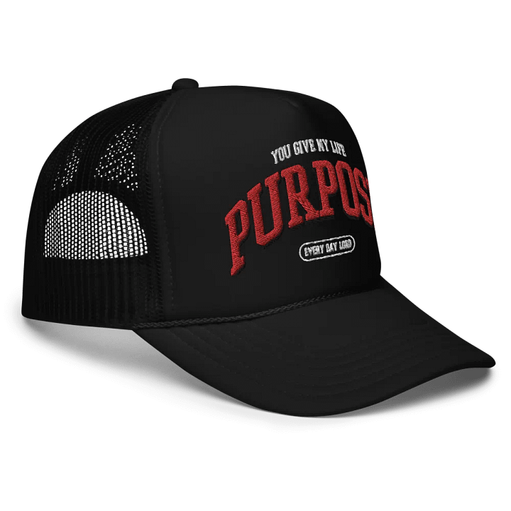 Purpose Cap product image (1)