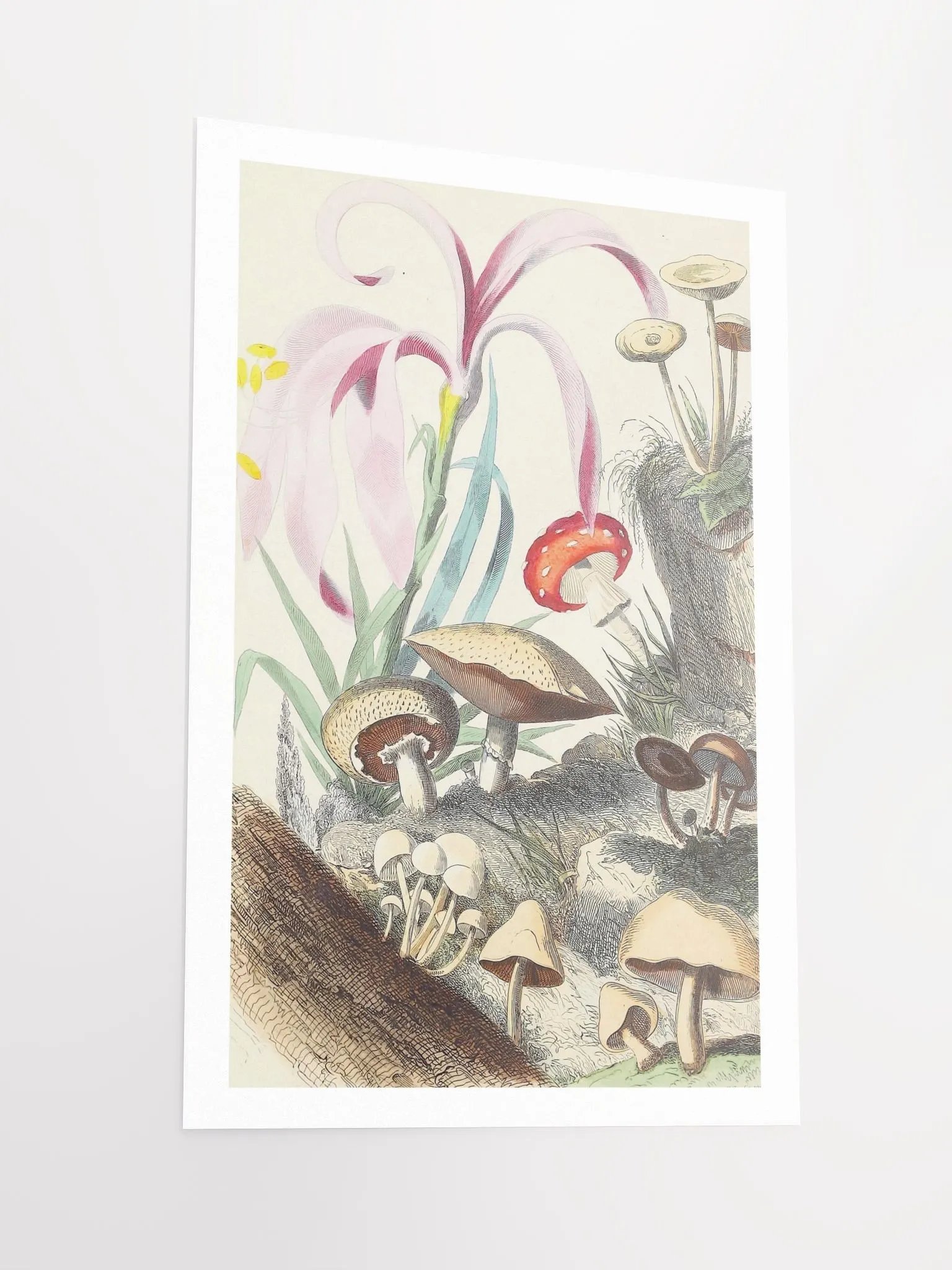 Enchanted Forest Fungi Poster product image (2)