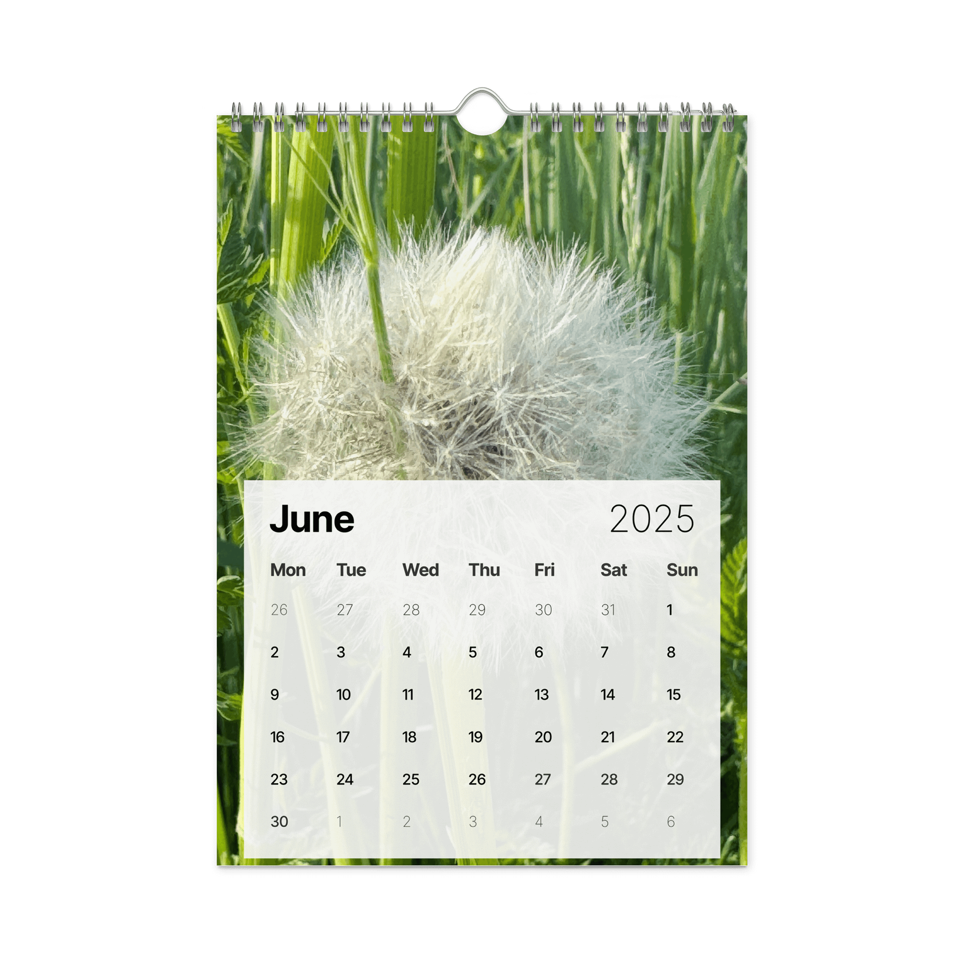 Golden Harvest: 2025 Mushroom Wall Calendar product image (8)