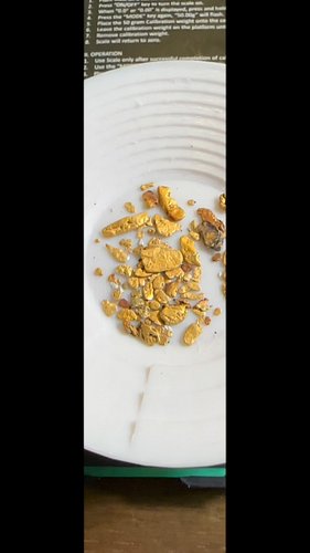 Gold prospecting the California Mother Lode. Last trip out on the scale! 🔥 #goldprospecting #fyp #gold #goldpanning #prospect...