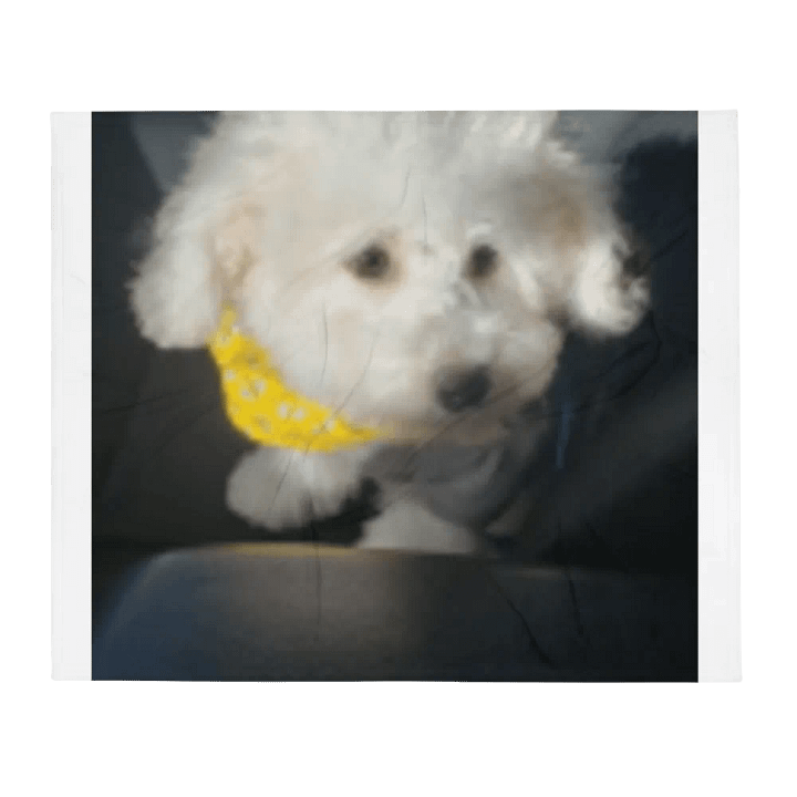 snowball blanket product image (13)