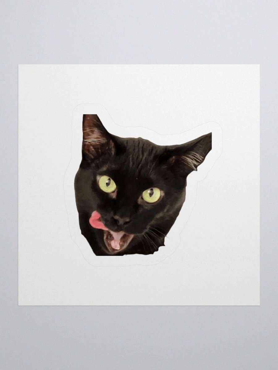 Raven Sticker product image (1)