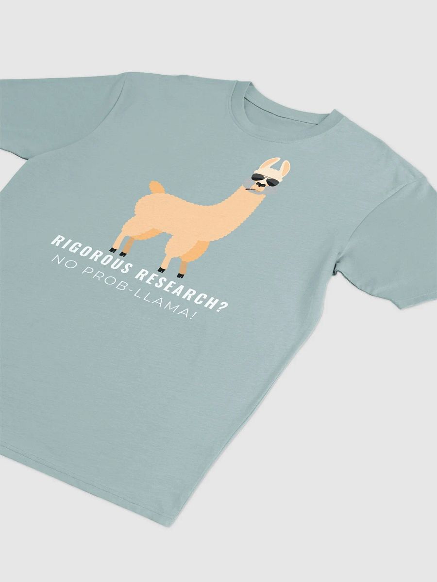 Rigorous Research? No Prob-Llama! (Men's) product image (17)