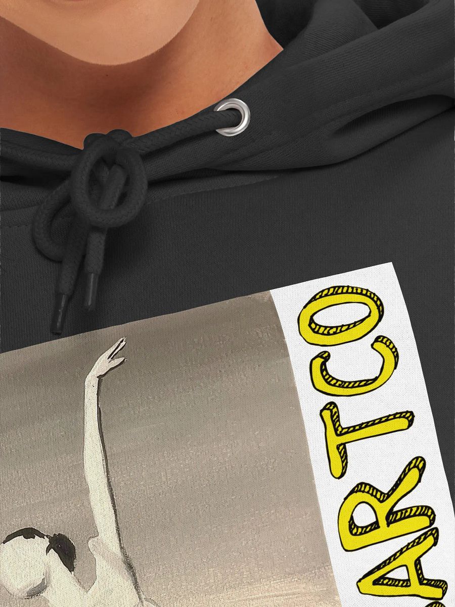 Ballerina's Color Dance Hoodie product image (7)