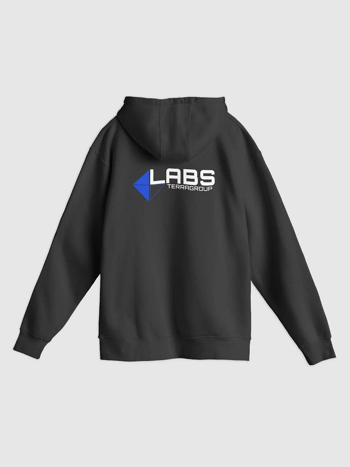 CERTIFIED CHAD HOODIE- Black product image (2)
