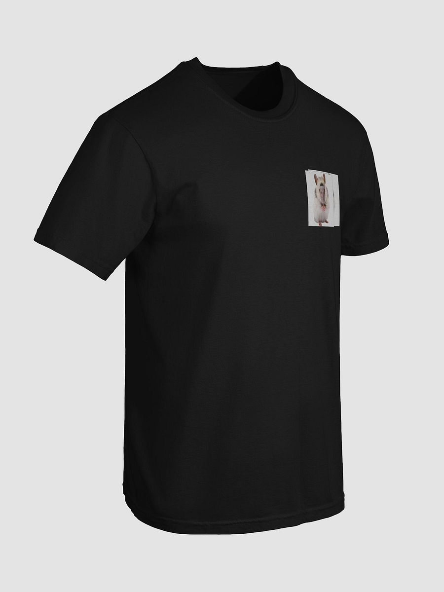 Whimsical Samster T-Shirt product image (32)