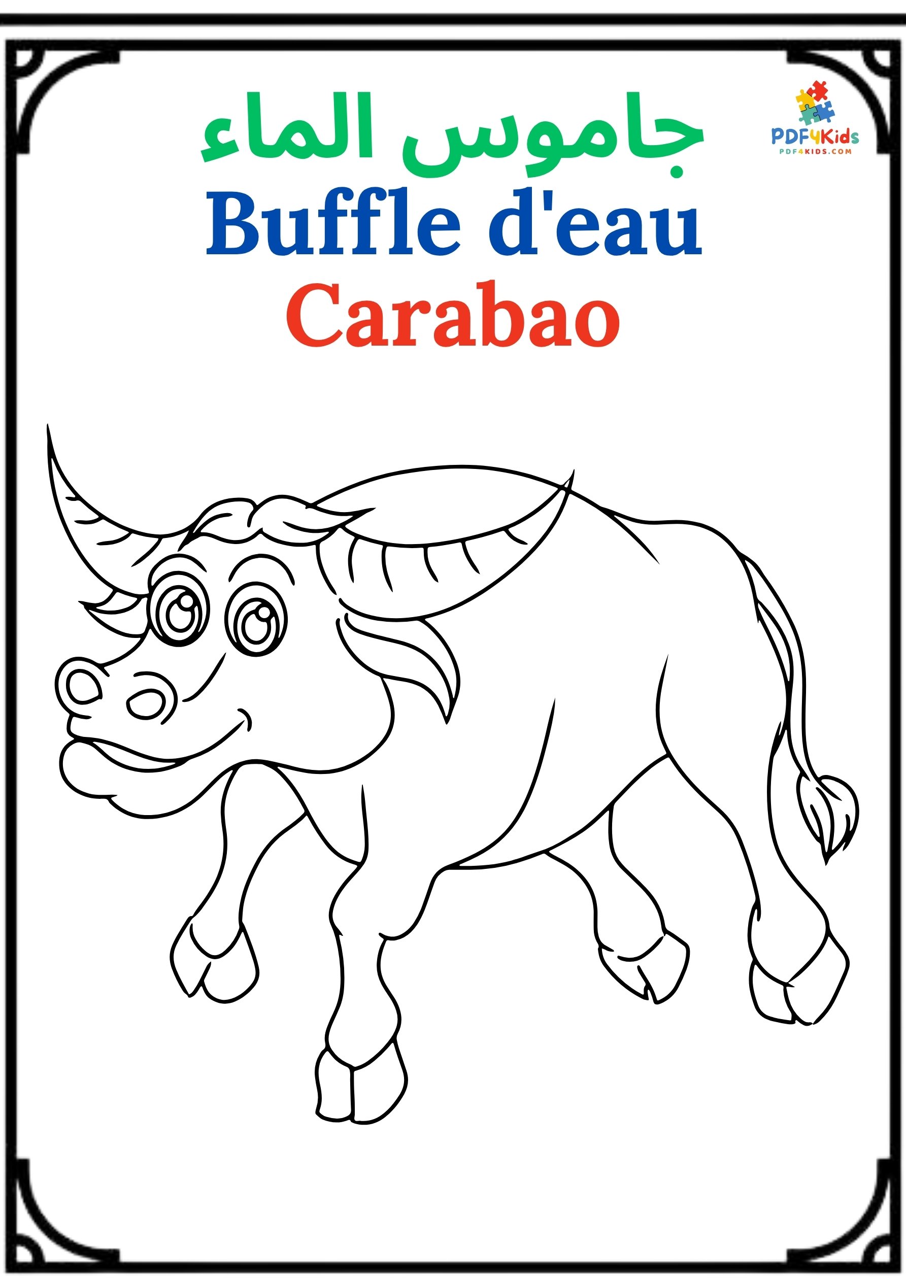 Sea & Land Animals / Coloring book / Pictures & Words 60 Pages product image (5)