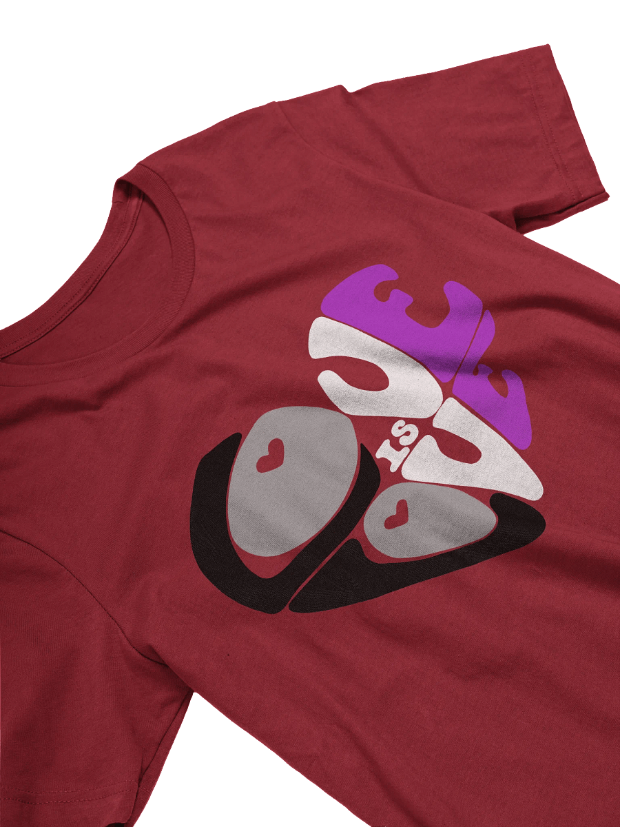 Asexual Love is Love big print tee product image (3)