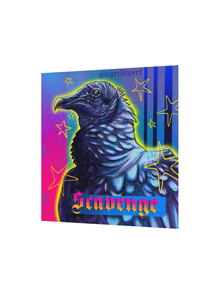 black vulture product image (3)