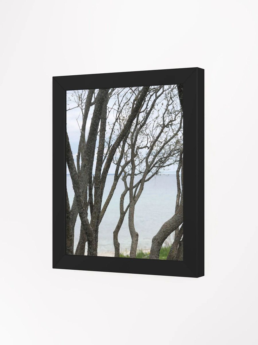 Winding Branches High Quality Matte Poster product image (3)