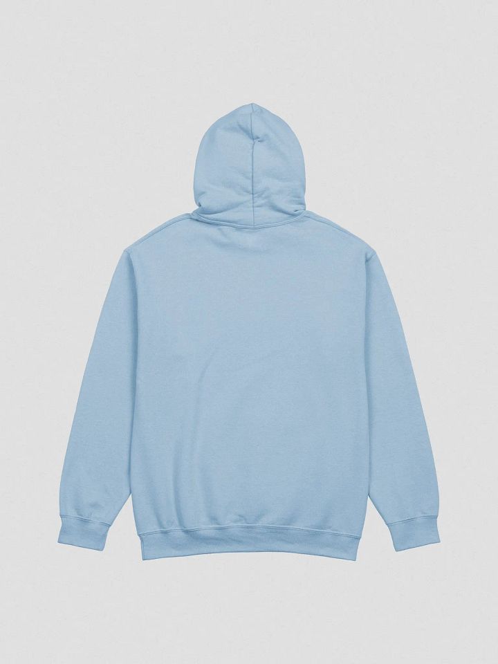 Facetious Hoodie (Black Text) product image (8)