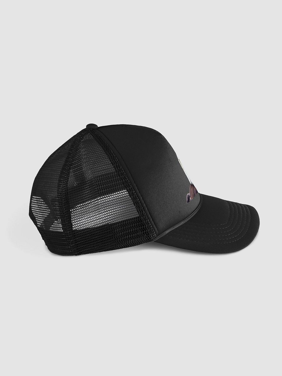 Rare Beauty: Valucap VC700 Foam Trucker Hat with Leucistic Bald Eagle Design product image (12)