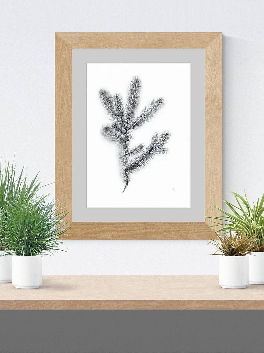 Whimsical Coniferous Branch Poster - Spruce Branch product image (9)