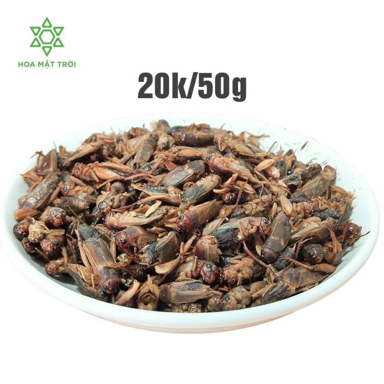 Dế Sấy Khô Làm Thức Ăn Cho Pet product image (3)