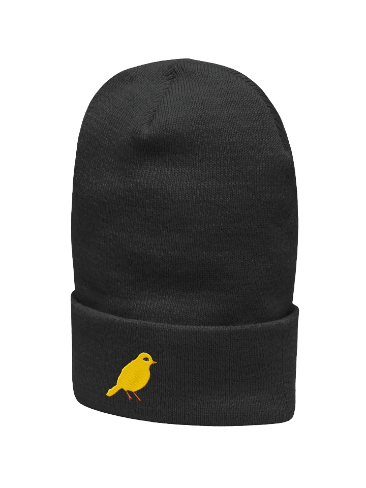 Jitterbird Embroidered Beanie product image (10)